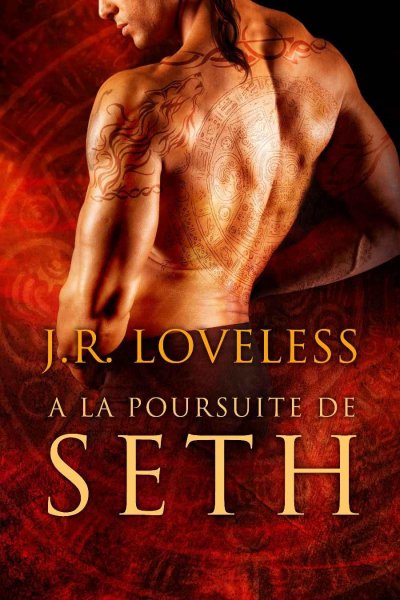 À la poursuite de Seth de J.R. Loveless
