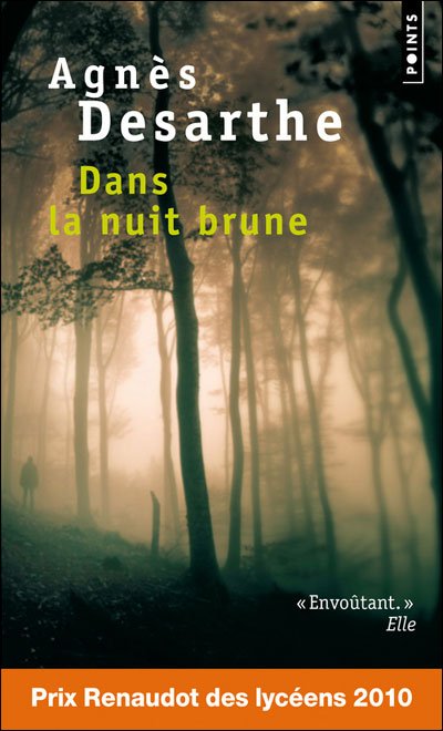 Dans la nuit brune de Agnès Desarthe