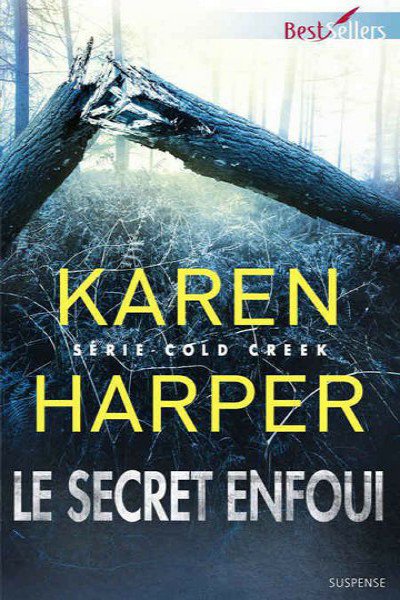 Le secret enfoui de Karen Harper