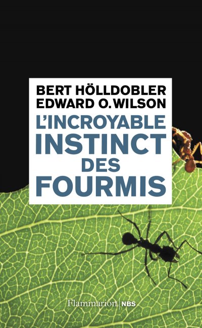 L'incroyable instinct des fourmis de Bert Holldobler
