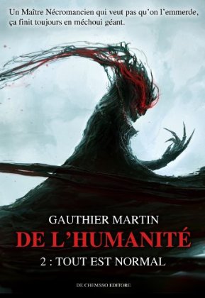 Tout est normal de Gauthier Martin