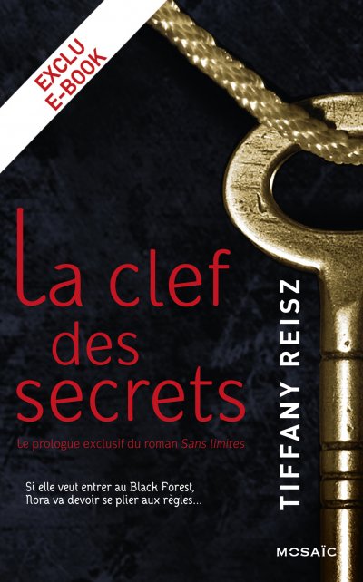 La clef des secrets de Tiffany Reisz