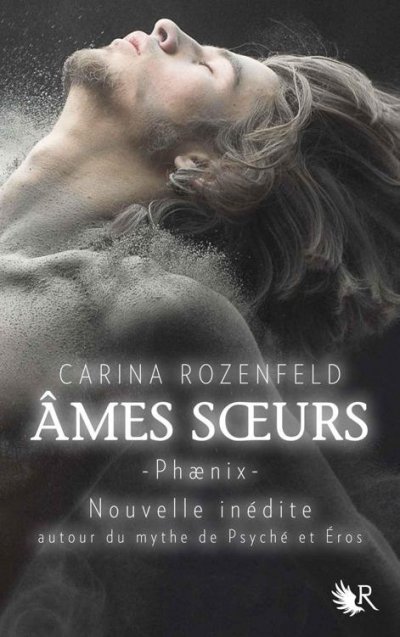 Âmes soeurs de Carina Rozenfeld