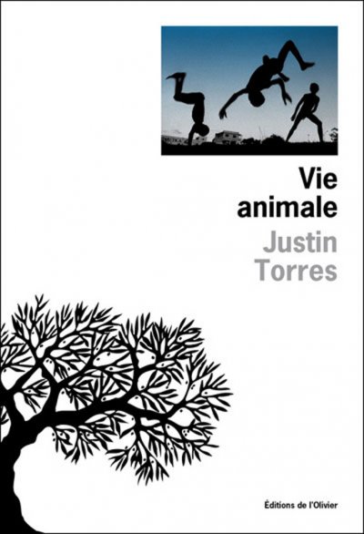 Vie animale de Justin Torres