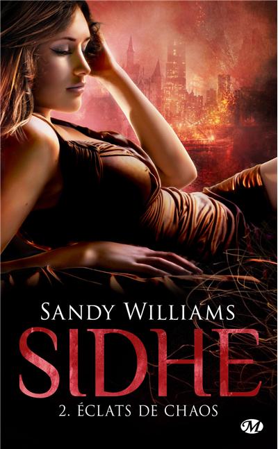 Eclats de chaos de Sandy Williams